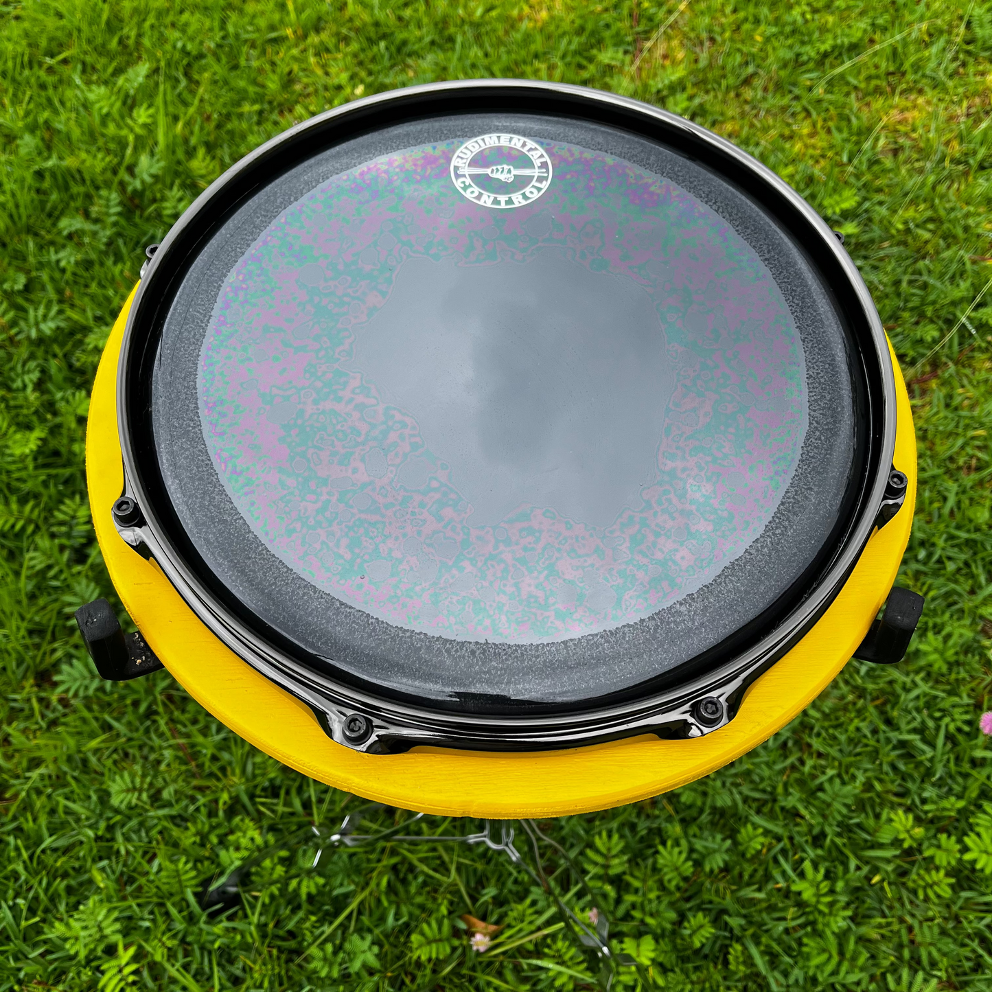 The Bumblebee Edition 🟡⚫️🐝 Preorder